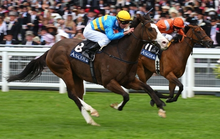 Buy Royal Ascot Horse Racing Tickets Buy Royal Ascot Horse Racing Tickets